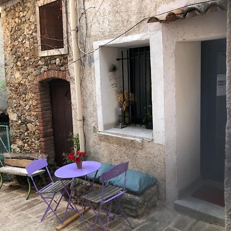 Logement neuf centre du village aux pieds du château Grimaud Extérieur photo