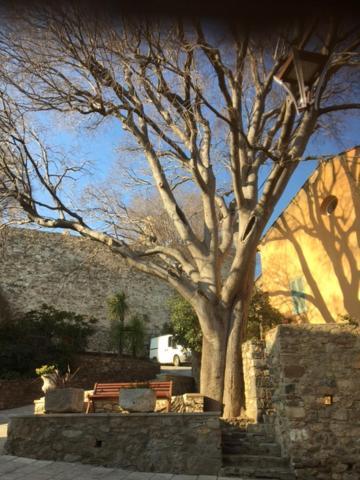 Logement neuf centre du village aux pieds du château Grimaud Extérieur photo